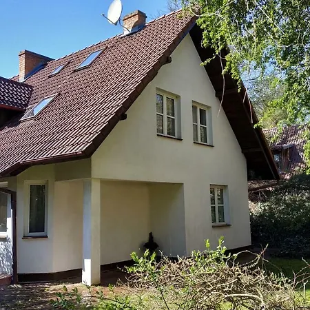 Mandarynkowy * Dębki
